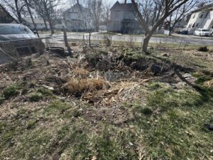IMG_9055 IMG_9055