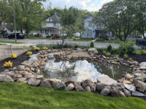 Pond 1 Pond 1